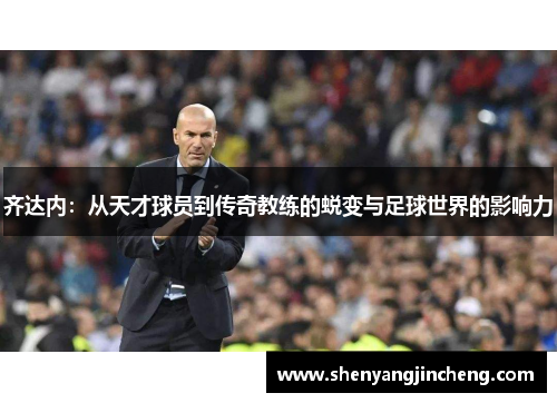齐达内：从天才球员到传奇教练的蜕变与足球世界的影响力