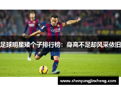 足球明星矮个子排行榜：身高不足却风采依旧