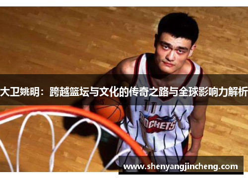 大卫姚明：跨越篮坛与文化的传奇之路与全球影响力解析