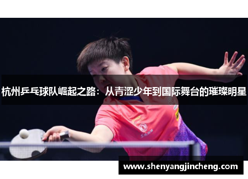 杭州乒乓球队崛起之路：从青涩少年到国际舞台的璀璨明星