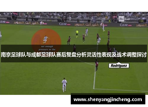 南京足球队与成都足球队赛后复盘分析灵活性表现及战术调整探讨
