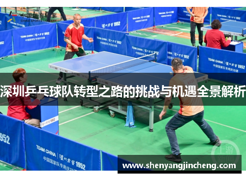 深圳乒乓球队转型之路的挑战与机遇全景解析