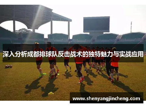 深入分析成都排球队反击战术的独特魅力与实战应用