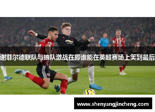 谢菲尔德联队与狼队激战在即谁能在英超赛场上笑到最后
