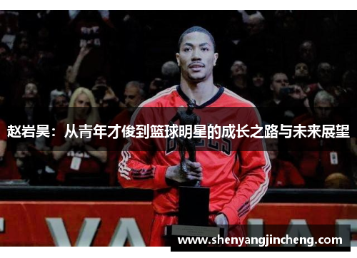 赵岩昊：从青年才俊到篮球明星的成长之路与未来展望