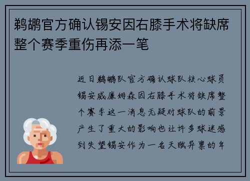 鹈鹕官方确认锡安因右膝手术将缺席整个赛季重伤再添一笔